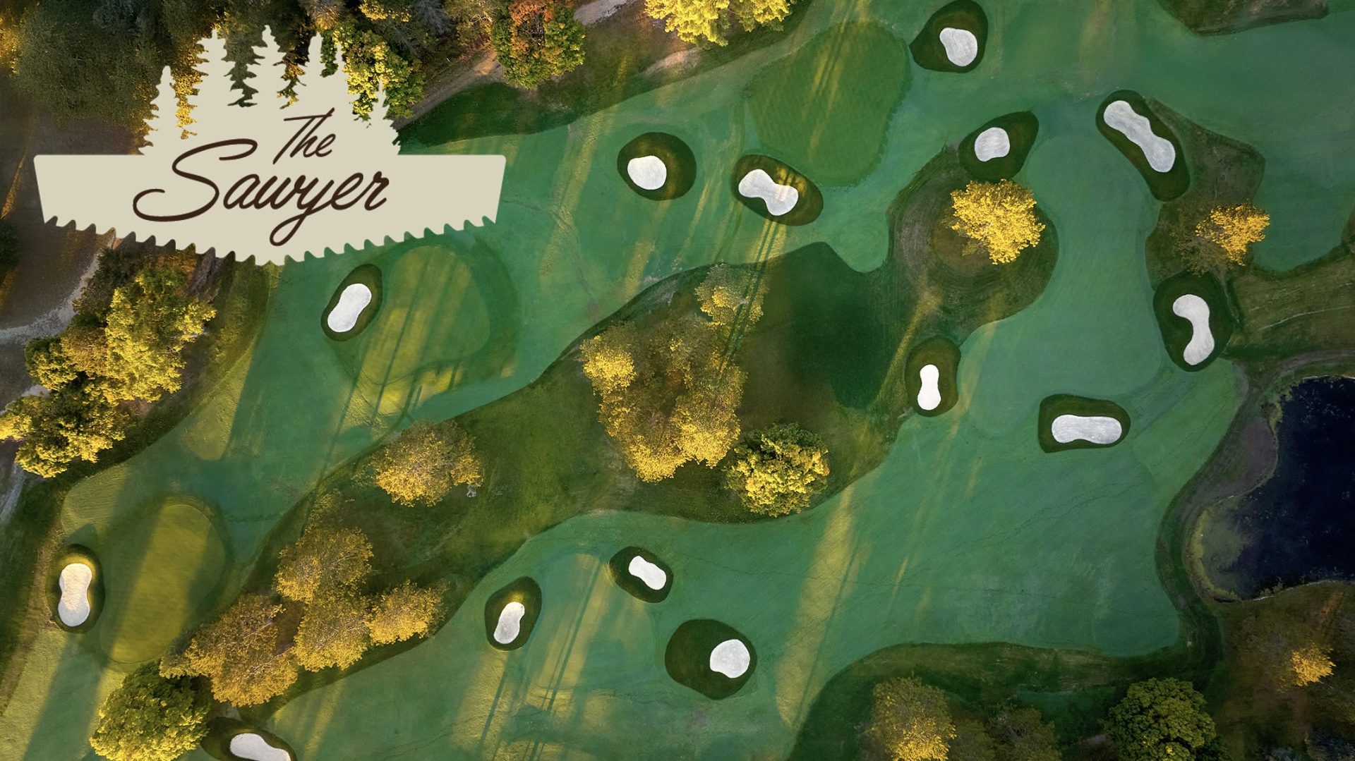 The Sawyer Landing Page Image